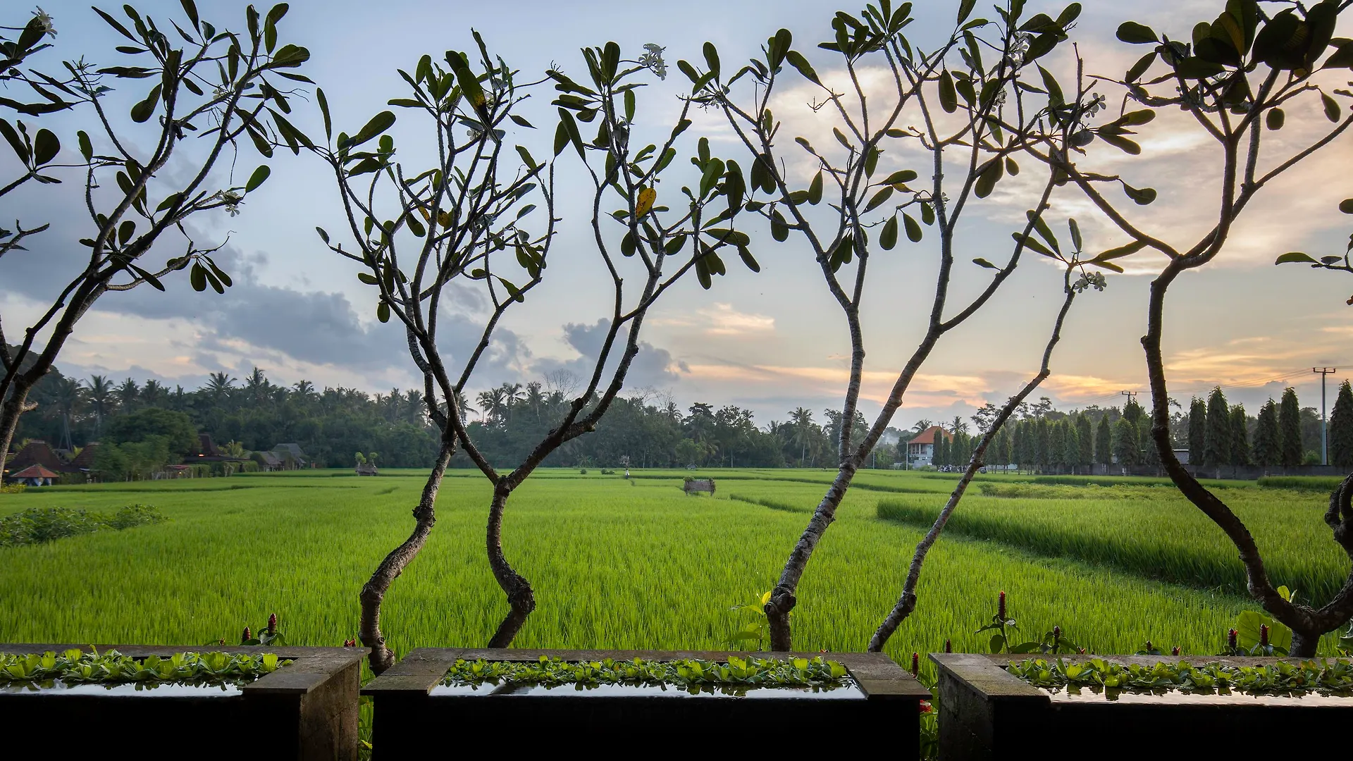 Villa Kayu Lama Ubud